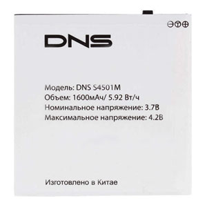  DNS S4501