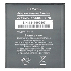  DNS S4505