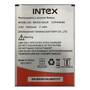  Intex BR30010AUR