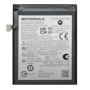  Motorola PM29
